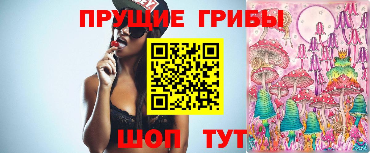 Псилоцибиновые грибы мицелий  Вход с VPN  Вологда 
